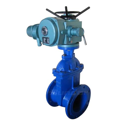 Electric Gate Valve4